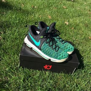 KD 9 Birds of Paradise
